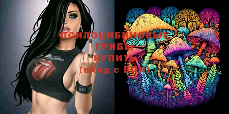 Галлюциногенные грибы Cubensis  Торжок 